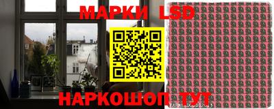 шишки Камышлов