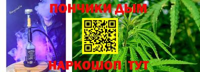 шишки Камышлов