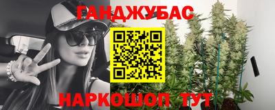 шишки Камышлов