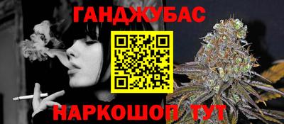 шишки Камышлов