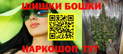 шишки Камышлов