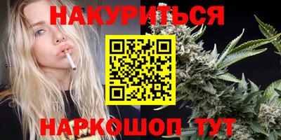 шишки Камышлов