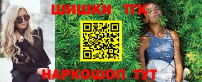 шишки Камышлов