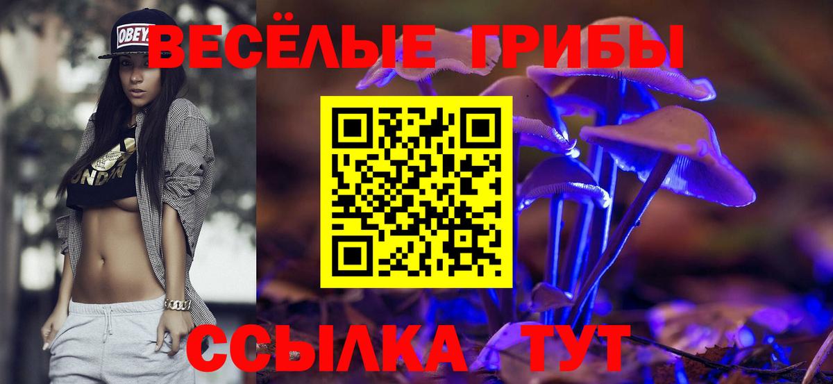 Галлюциногенные грибы Psilocybe Котлас
